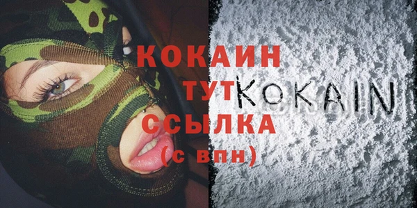 индика Козловка