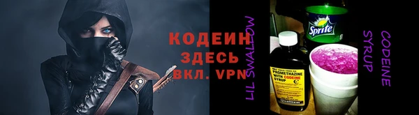 индика Козловка