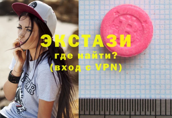 гашик Краснослободск