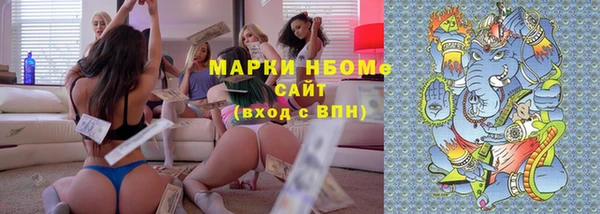 гашик Краснослободск