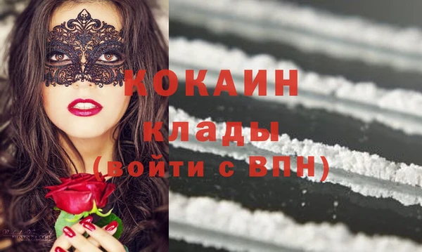 гашик Краснослободск