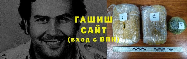 гашик Краснослободск
