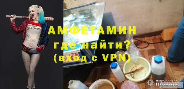 индика Козловка