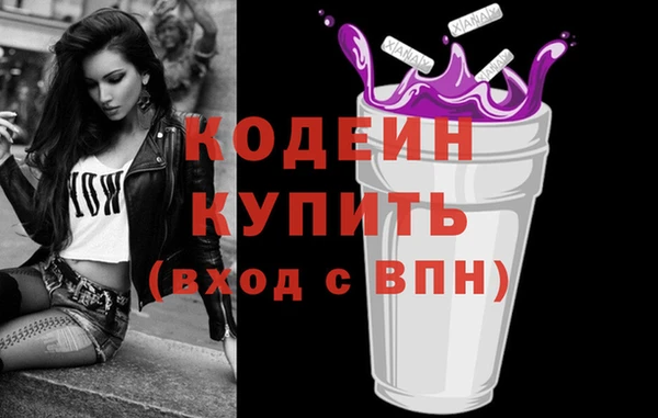 гашик Краснослободск