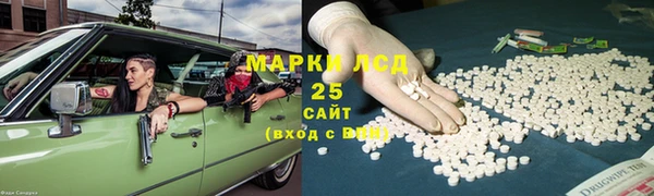 гашик Краснослободск